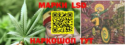 spice Бугуруслан